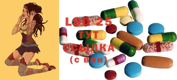 PSILOCYBIN Богданович