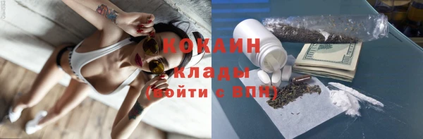 ECSTASY Богородск