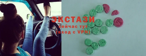 ECSTASY Богородск