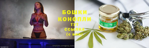 PSILOCYBIN Богданович