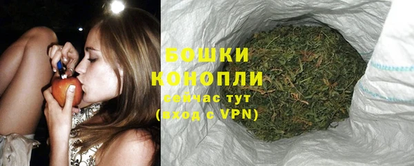 PSILOCYBIN Богданович