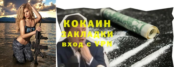 PSILOCYBIN Богданович