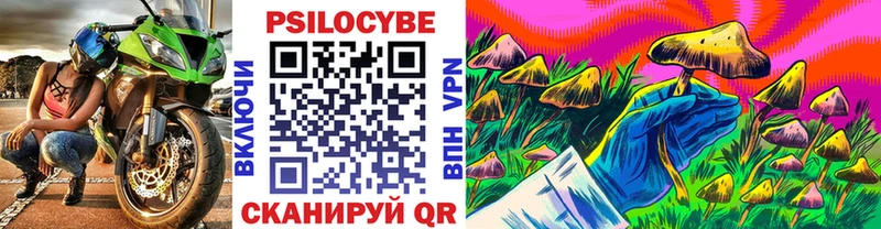 Псилоцибиновые грибы мухоморы  Горно-Алтайск 