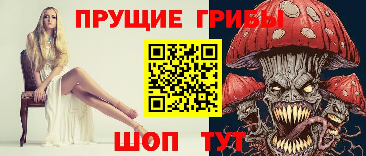 Псилоцибиновые грибы Psilocybe  Вход с VPN  Горно-Алтайск  Псилоцибиновые грибы ЛСД 