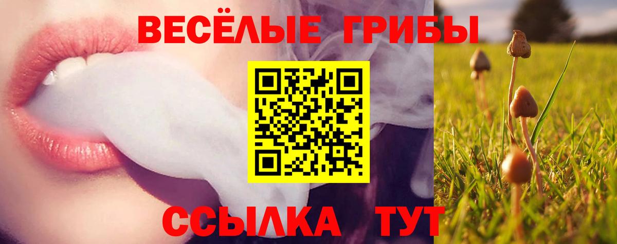 Галлюциногенные грибы мицелий Горно-Алтайск